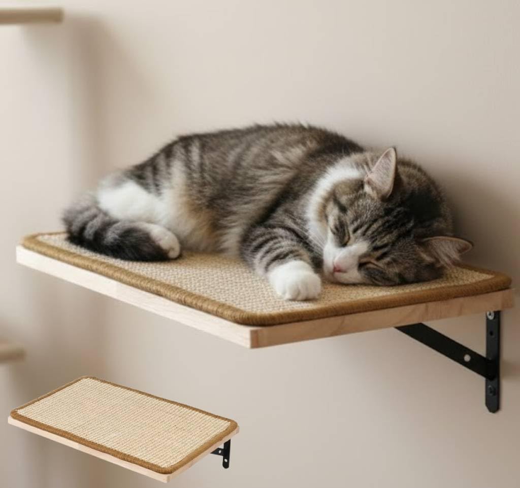 Amazon.co.jp: iimono117 猫 壁付け ステップ 一段 40cm×25cm 幅広